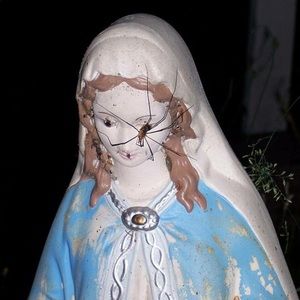 Meet your Posher, Brad